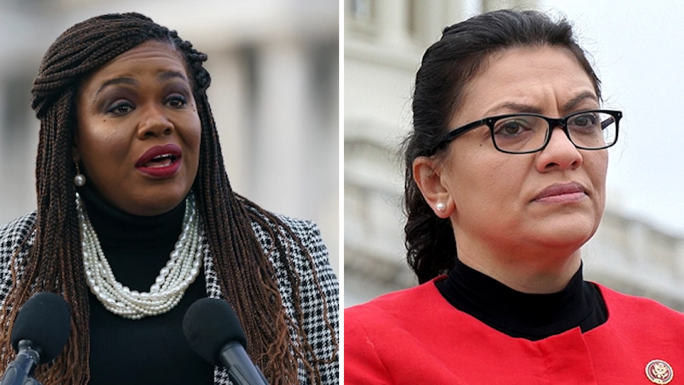 Tlaib and Bush Face Criticism Within Democratic Party Over Israel Statements